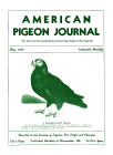 Magazine Cover